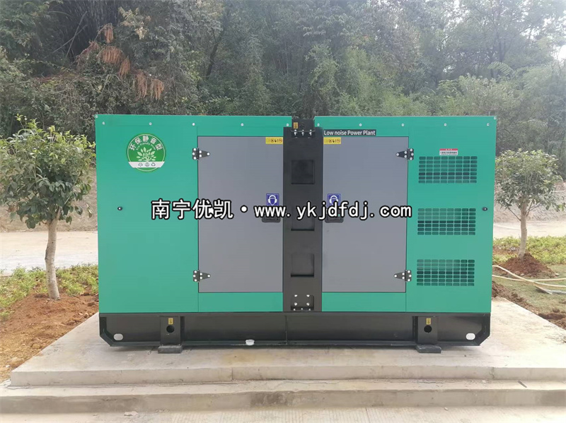 2024年11月21日，平果項目160kw低噪音柴油發(fā)電機(jī)組到貨試機(jī)